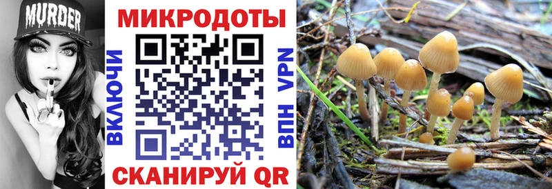 площадка как зайти Артём Псилоцибиновые грибы Psilocybine cubensis наркота