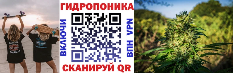 Бошки марихуана OG Kush Артём